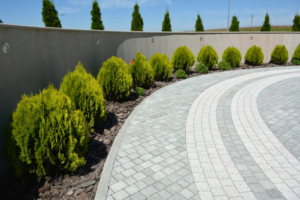 Best Best Driveway Pavers  in Madison, AL